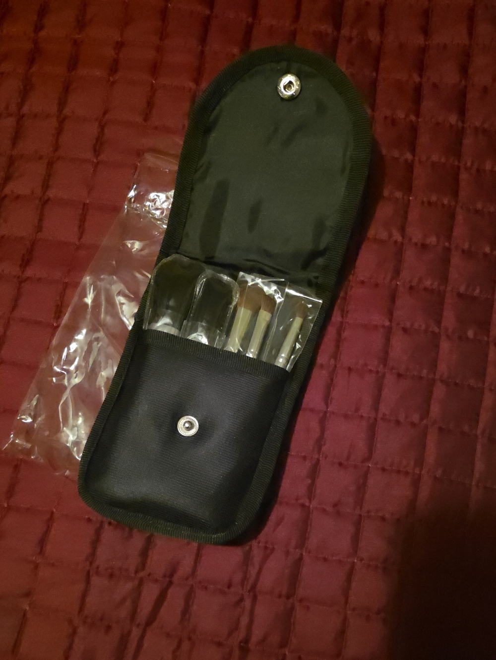 NWOT Makeup Brush Kit with Protective Case